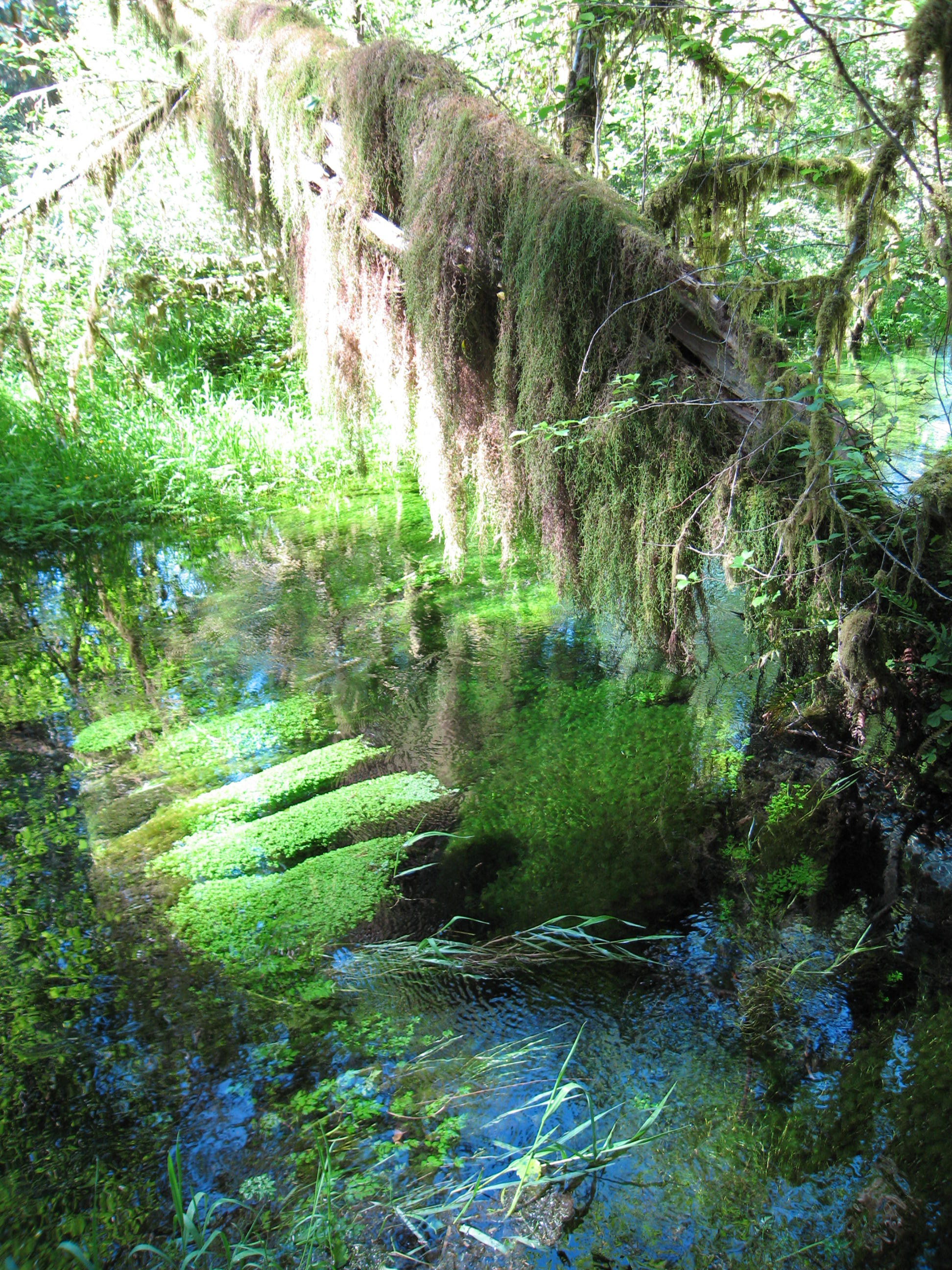 2007-07 Seattle057